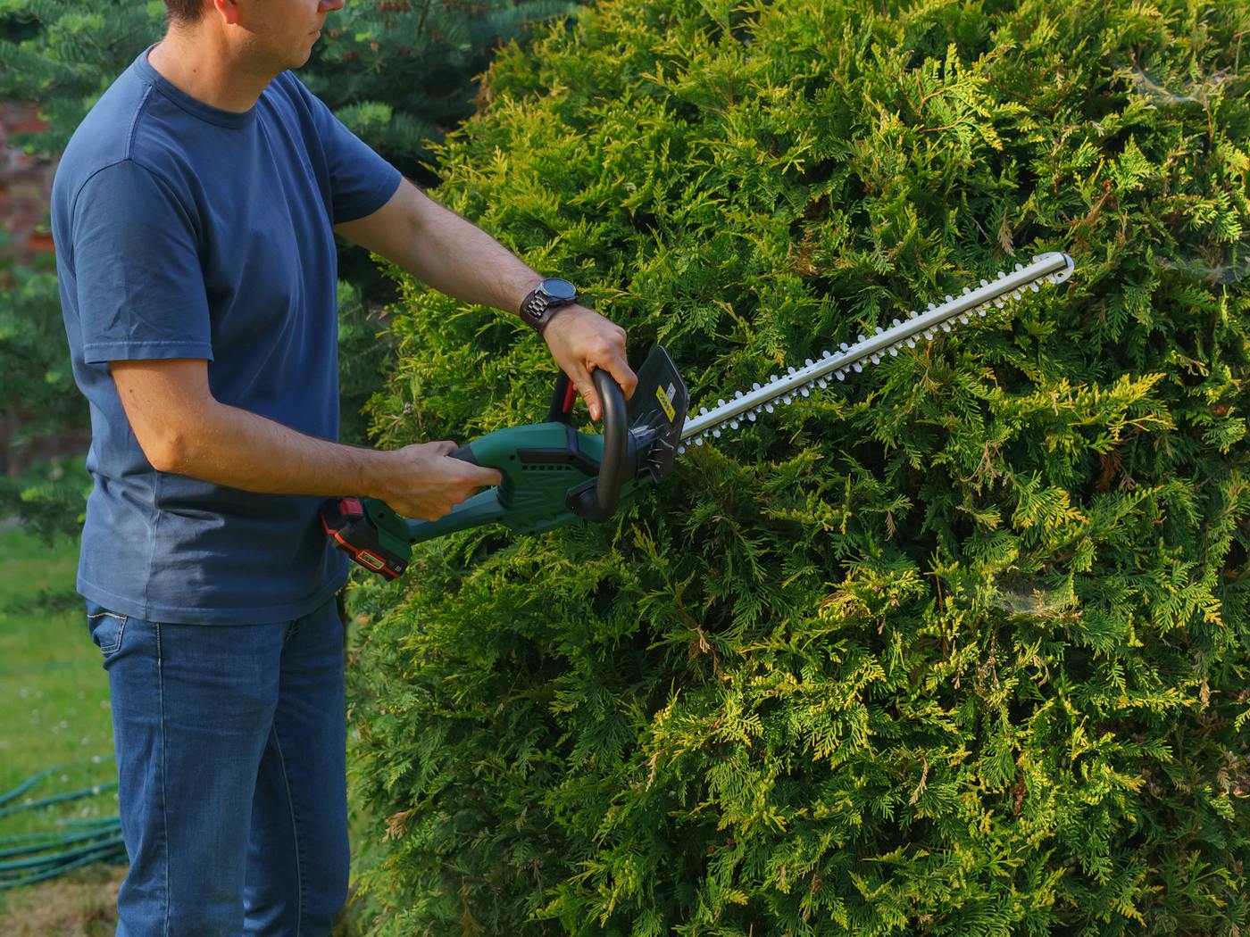 Shaped hedges along a residential walkway after a clean trim.