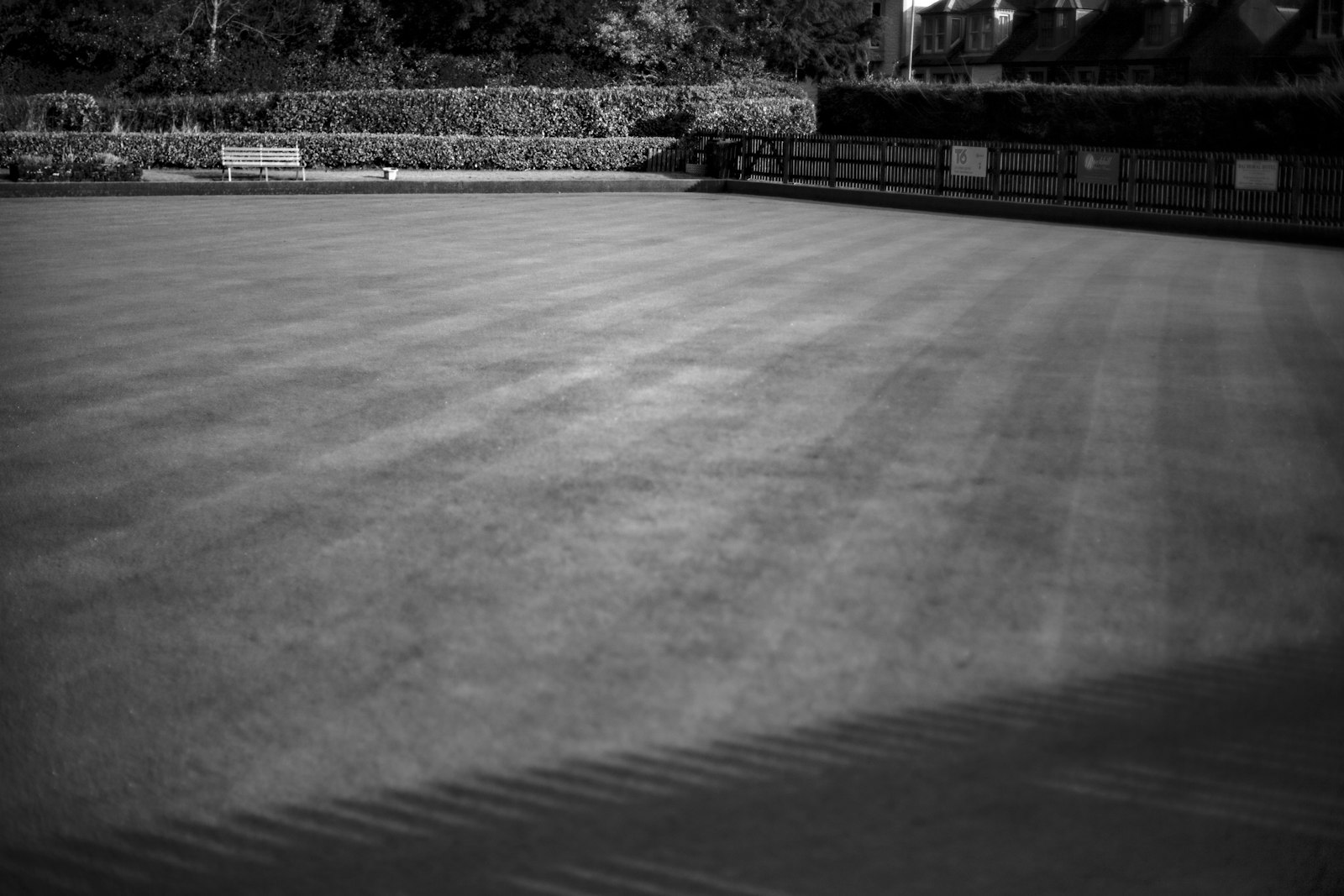 Mower stripes laid in a diagonal pattern across a residential front lawn.